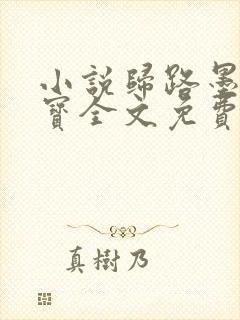 小说归路墨宝非宝全文免费阅读