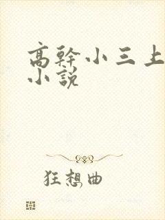 高干小三上位的小说