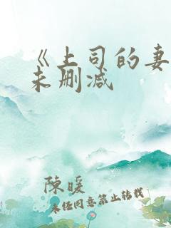 《上司的妻子》未删减