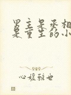 男主是丞相女主是重生的小说