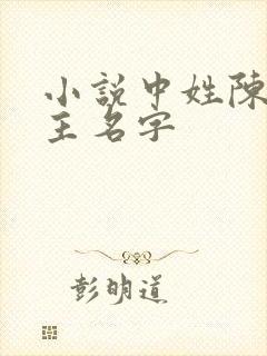 小说中姓陈的男主名字