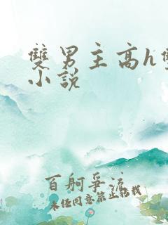 双男主高h双性小说