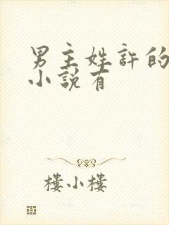 男主姓许的穿越小说有