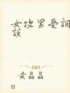 女攻男受调教小说