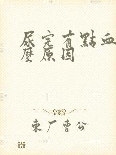 尿完有点血是什么原因