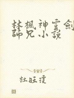 林枫神霄剑宗大师兄小说