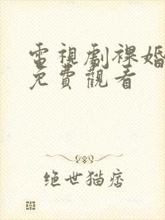 电视剧裸婚之后免费观看