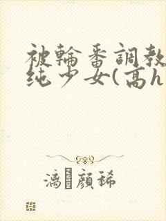 被轮番调教的清纯少女(高h