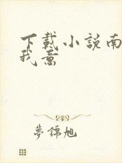 下载小说南风知我意