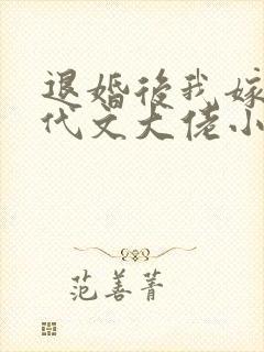 退婚后我嫁给年代文大佬小说
