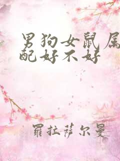 男狗女鼠属相婚配好不好