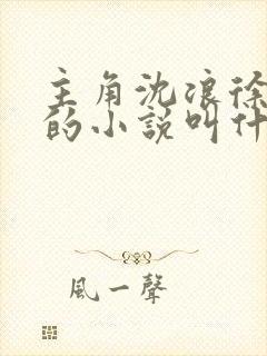 主角沈浪徐芊芊的小说叫什么名字