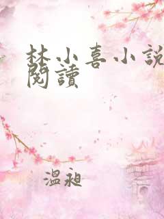 林小喜小说在线阅读