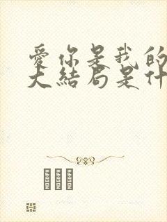 爱你是我的秘密大结局是什么