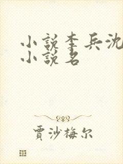 小说李兵沈思的小说名