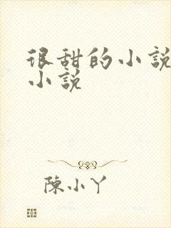 很甜的小说总裁小说