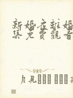 新婚夜离婚时全集免费观看