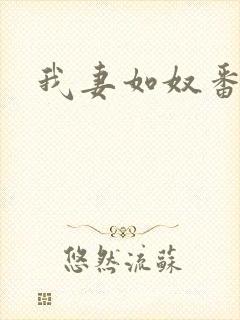我妻如奴番外篇