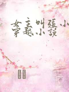 女主叫张小婉的穿越小说
