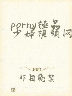 porny极品少妇视频网站