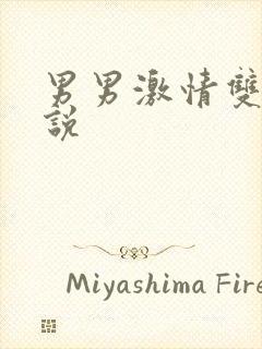 男男激情双性小说