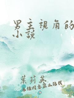 男主视角的女尊小说