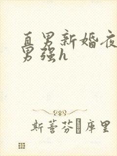 直男新婚夜被猛男强h