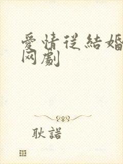 爱情从结婚开始网剧