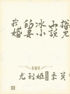 我的冰山总裁未婚妻小说免费阅读