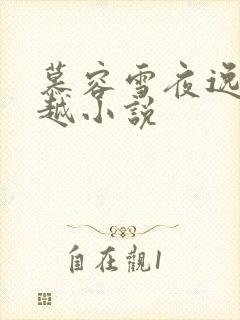 慕容雪夜逸尘穿越小说