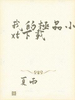 我的极品小姨txt下载