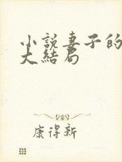 小说妻子的复仇大结局