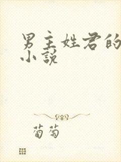男主姓君的全部小说