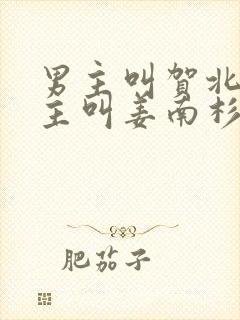 男主叫贺北峥女主叫姜南杉的小说