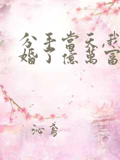 分手当天,我闪婚了亿万富豪短剧