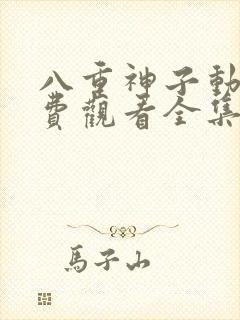 八重神子动漫免费观看全集高清