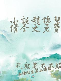 小说赵锦儿秦慕修全文免费阅读免费