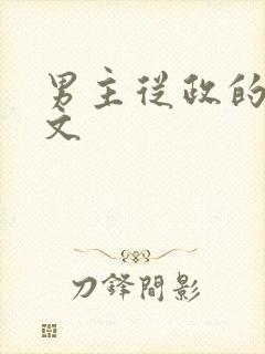 男主从政的高干文