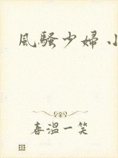 风骚少妇 小说