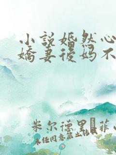 小说婚然心动:娇妻后妈不好当全文