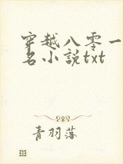 穿越八零一身恶名小说txt