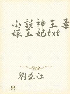 小说神王毒宠二嫁王妃txt