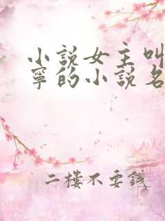 小说女主叫徐岁宁的小说名字