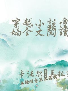 穿越小说傻王夺嫡全文阅读