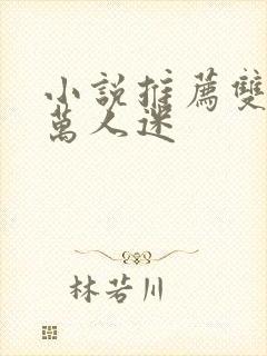 小说推荐双男主万人迷