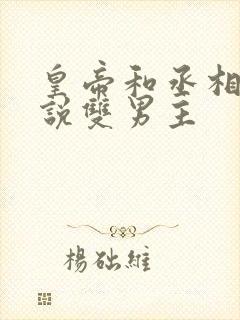 皇帝和丞相的小说双男主