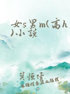 女s男m(高h)小说