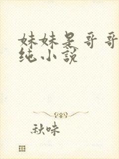 妹妹是哥哥的安纯小说