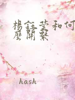 杨钰莹和何炅什么关系