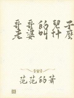 哥哥的儿子叫我老婆叫什么